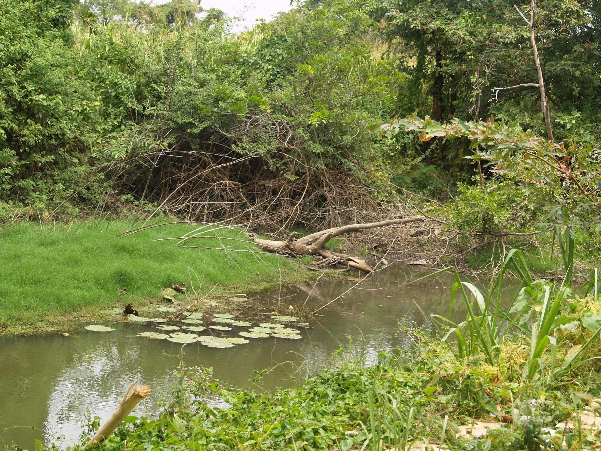 Welimaluwa Resort Sigiriya Kibissa Kültér fotó